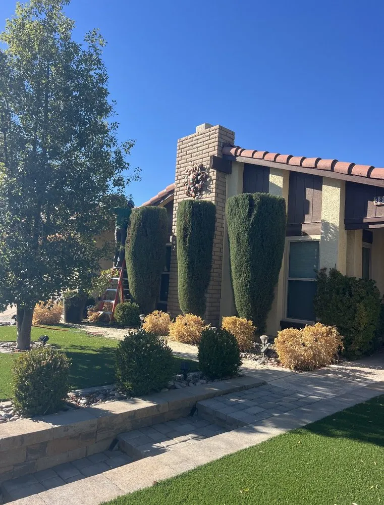 Affordable landscaping services for outdoor upgrades in Las Vegas, NV by Rocky's Tree Service