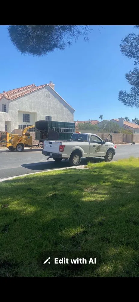 Reliable landscape design experts serving Las Vegas, NV - Rocky's Tree Service