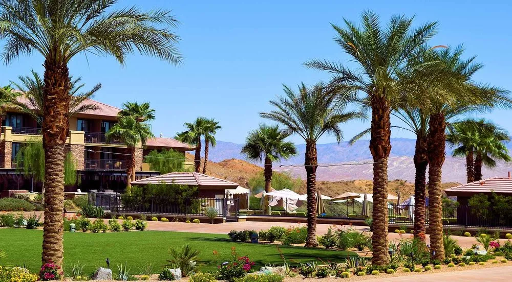 Expert outdoor landscaping for year-round maintenance across Las Vegas, NV - Rocky's Tree Service