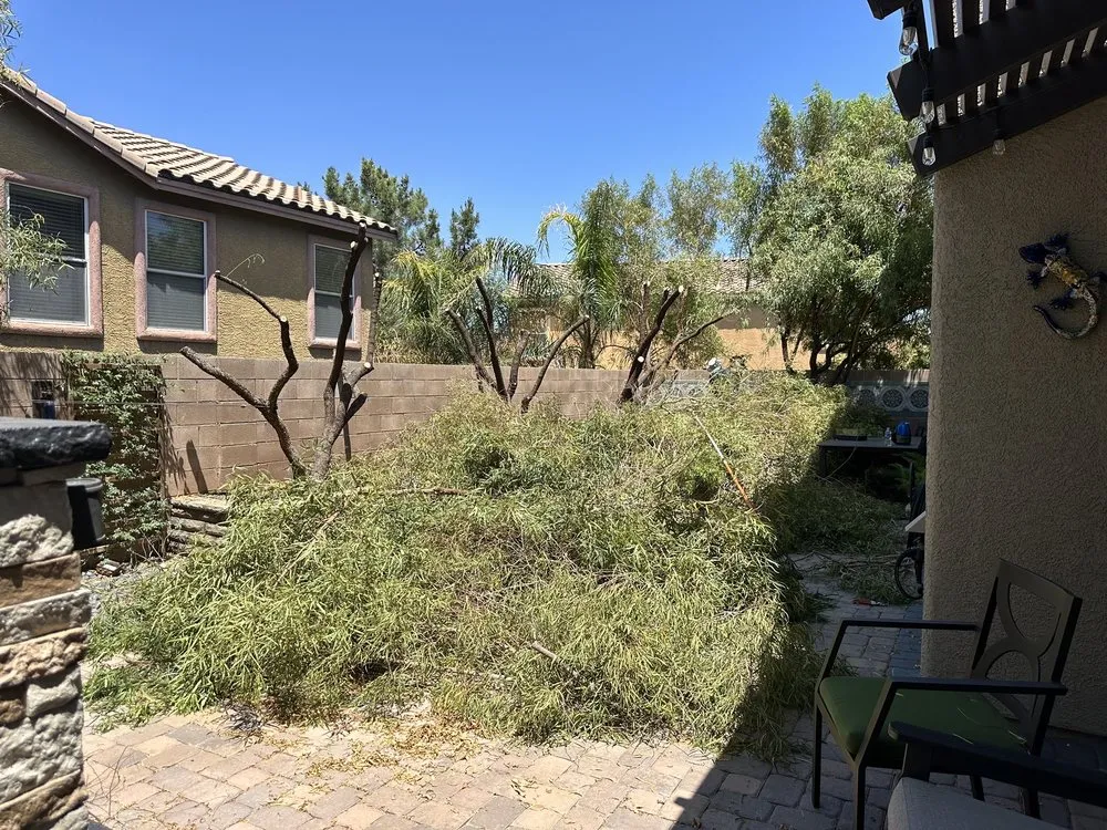 Custom garden landscaping for homes in Las Vegas, NV by Rocky's Tree Service