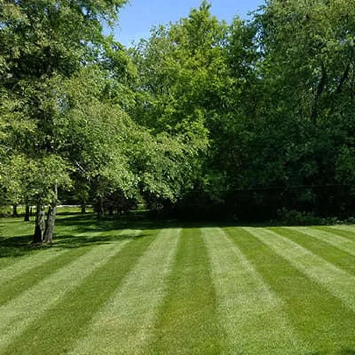 Top-rated landscape installation for beautiful yards in Mishawaka, IN by Rockytop Property Maintenance