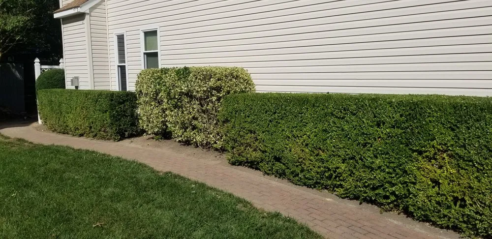 Expert outdoor landscaping in Upper Marlboro, MD - Rod & Staff Solutions