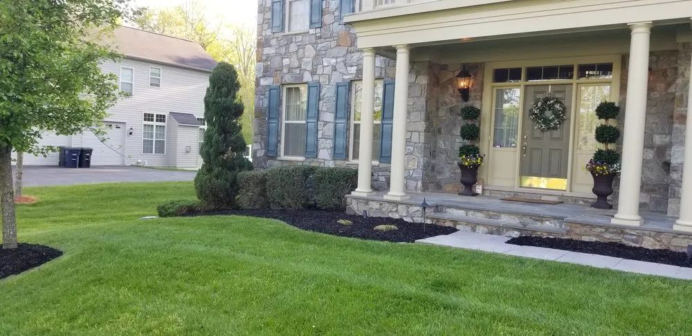 Custom yard cleanup service in Upper Marlboro, MD by Rod & Staff Solutions