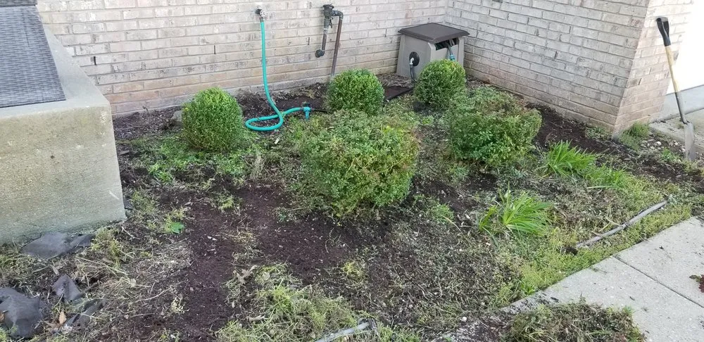 Trusted yard maintenance in Upper Marlboro, MD - Rod & Staff Solutions