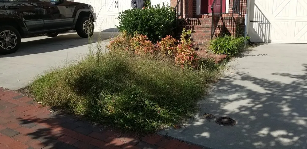 Professional yard cleanup service experts serving Upper Marlboro, MD - Rod & Staff Solutions