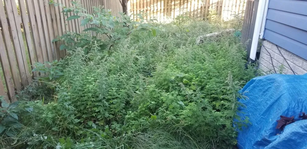 Custom residential landscaping experts serving Upper Marlboro, MD - Rod & Staff Solutions