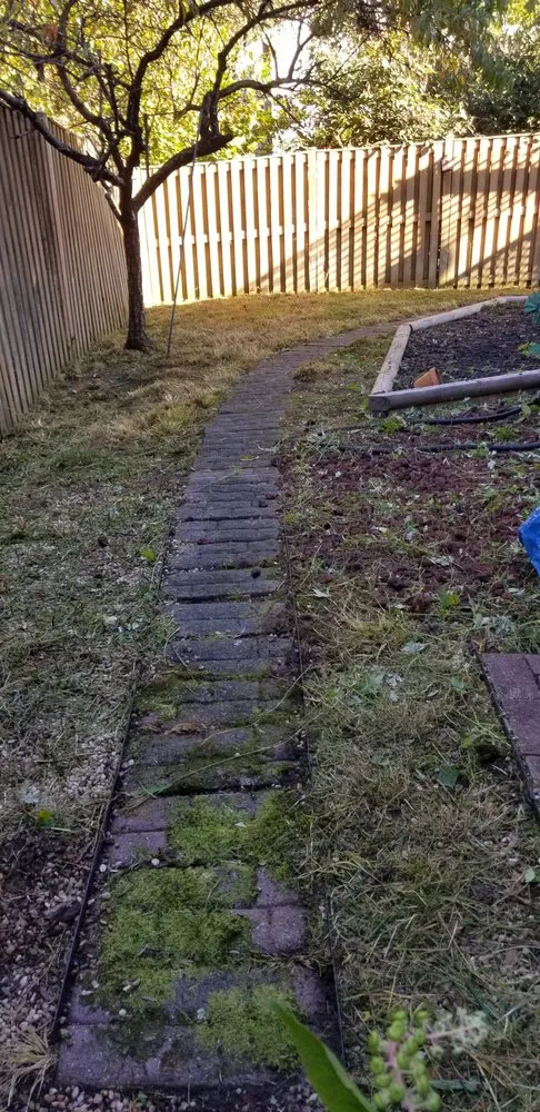 Local yard cleanup service for beautiful yards across Upper Marlboro, MD - Rod & Staff Solutions