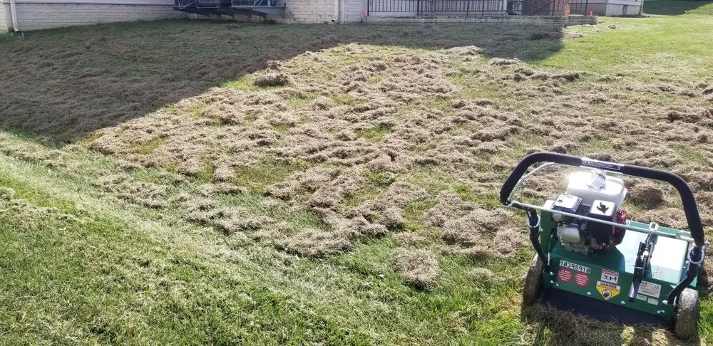 Top-rated landscaping services in Upper Marlboro, MD - Rod & Staff Solutions