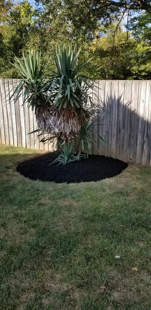 Top-rated landscaping services for year-round maintenance in Upper Marlboro, MD by Rod & Staff Solutions