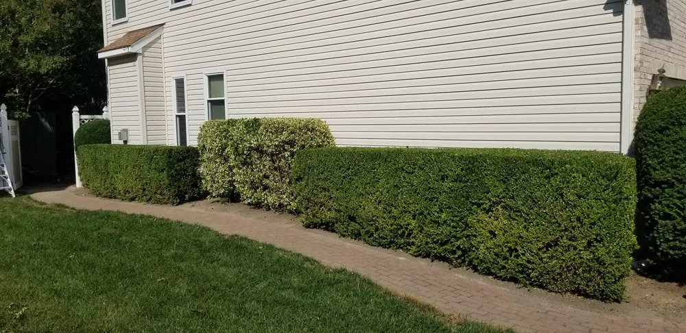 Custom lawn care service for homes in Upper Marlboro, MD by Rod & Staff Solutions