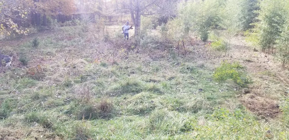 Professional landscape design for homes across Upper Marlboro, MD - Rod & Staff Solutions