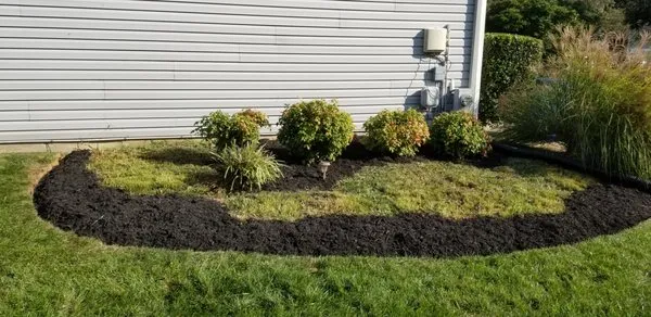 Rod & Staff Solutions Logo