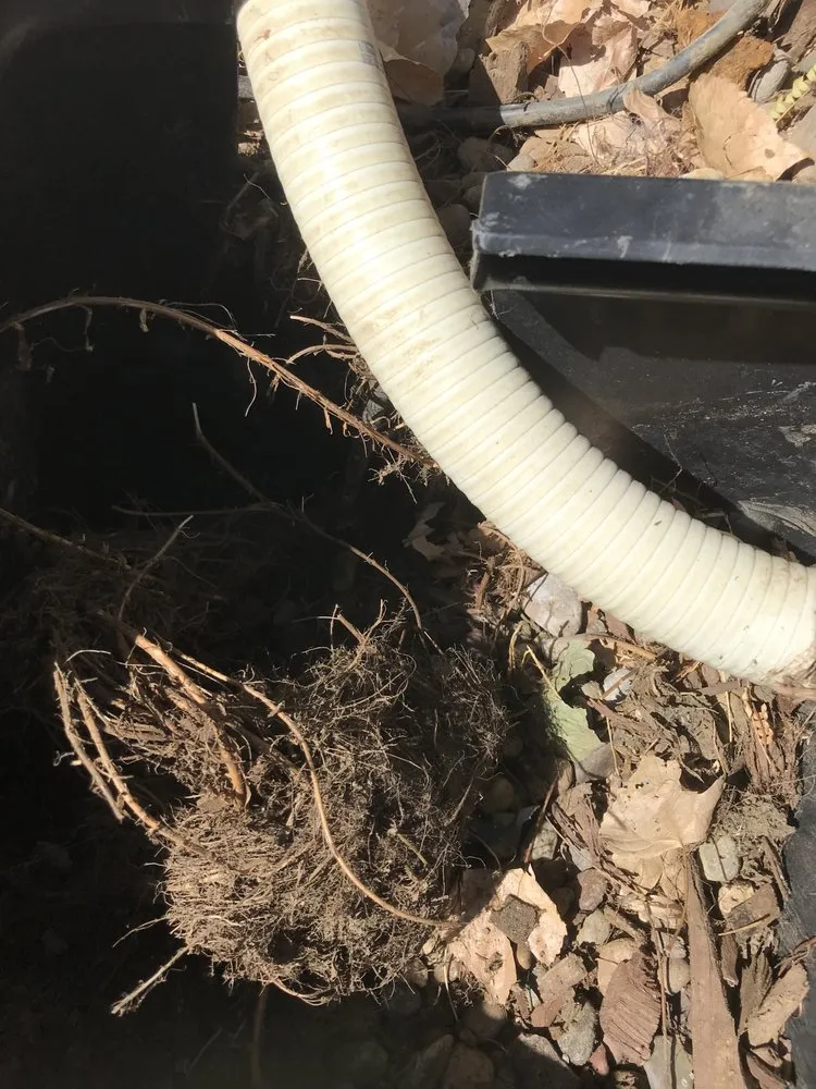 Top-rated landscape installation experts serving Hesperia, CA - Rodas Koipond & Landscape