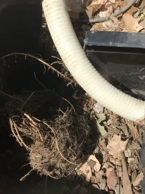 Rodas Koipond & Landscape Logo