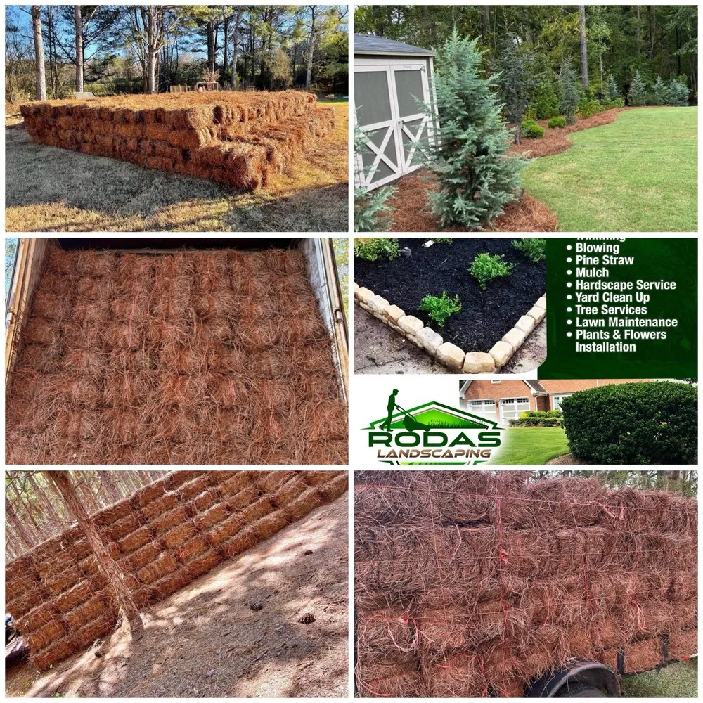 Top-rated lawn mowing service experts serving Marietta, GA - Rodas Landscaping