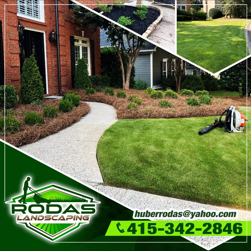 Expert landscape design for year-round maintenance in Marietta, GA by Rodas Landscaping