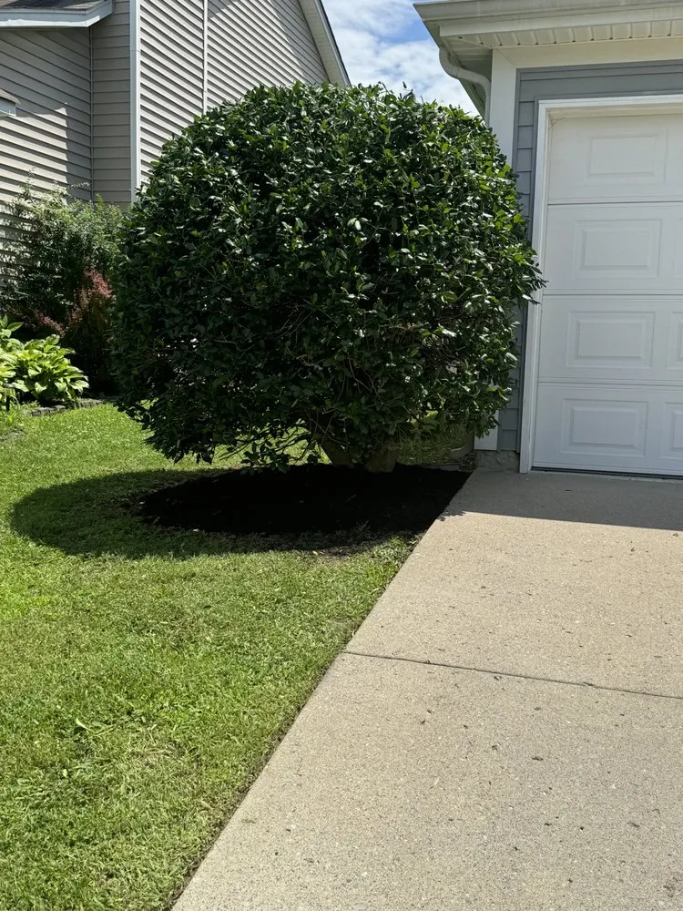 Professional lawn care service for beautiful yards across Smyrna, TN - Rodas Landscaping