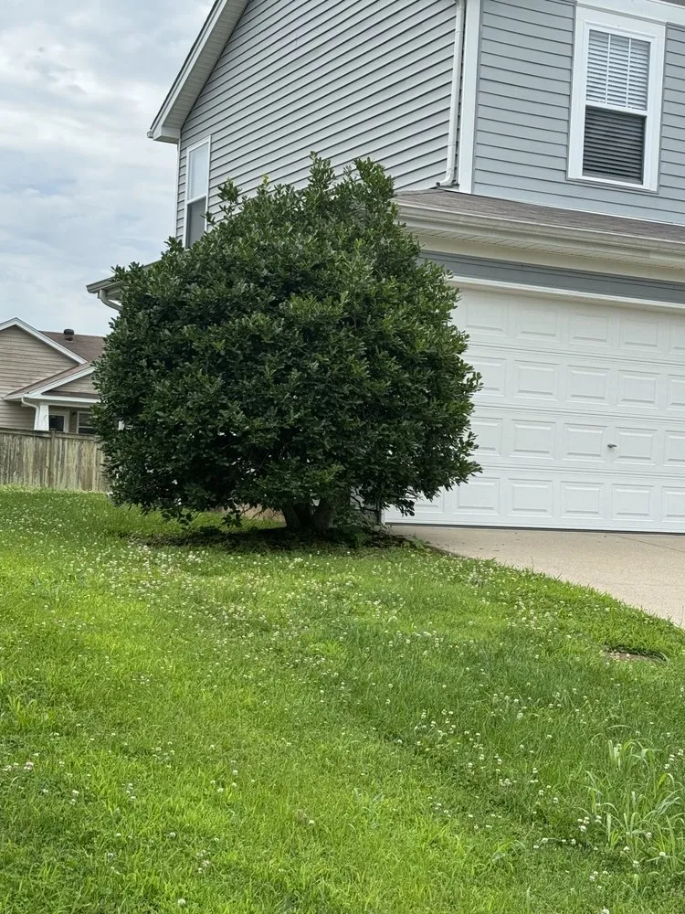 Expert landscape installation for outdoor upgrades in Smyrna, TN by Rodas Landscaping