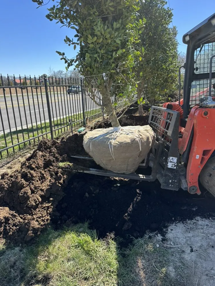 Top-rated outdoor landscaping experts serving Smyrna, TN - Rodas Landscaping