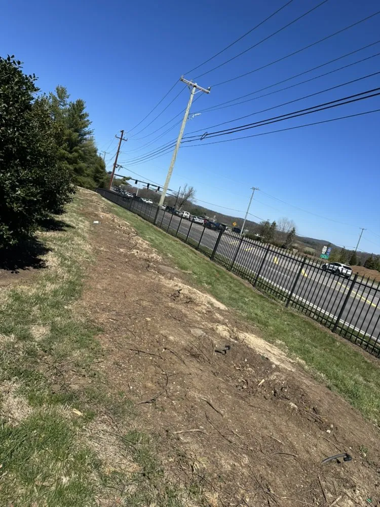 Expert landscape design experts serving Smyrna, TN - Rodas Landscaping