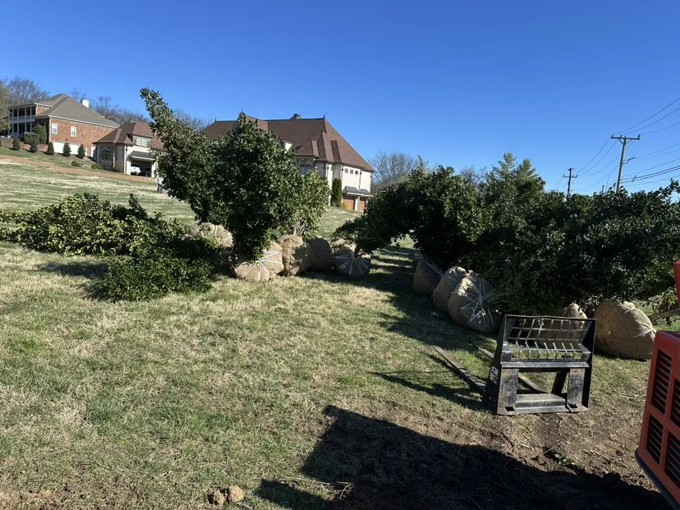 Local lawn mowing service for year-round maintenance across Smyrna, TN - Rodas Landscaping