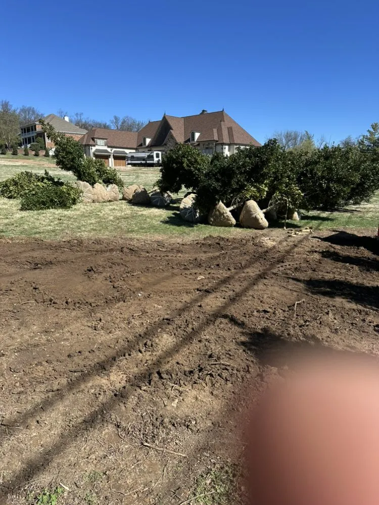 Professional lawn care service in Smyrna, TN - Rodas Landscaping