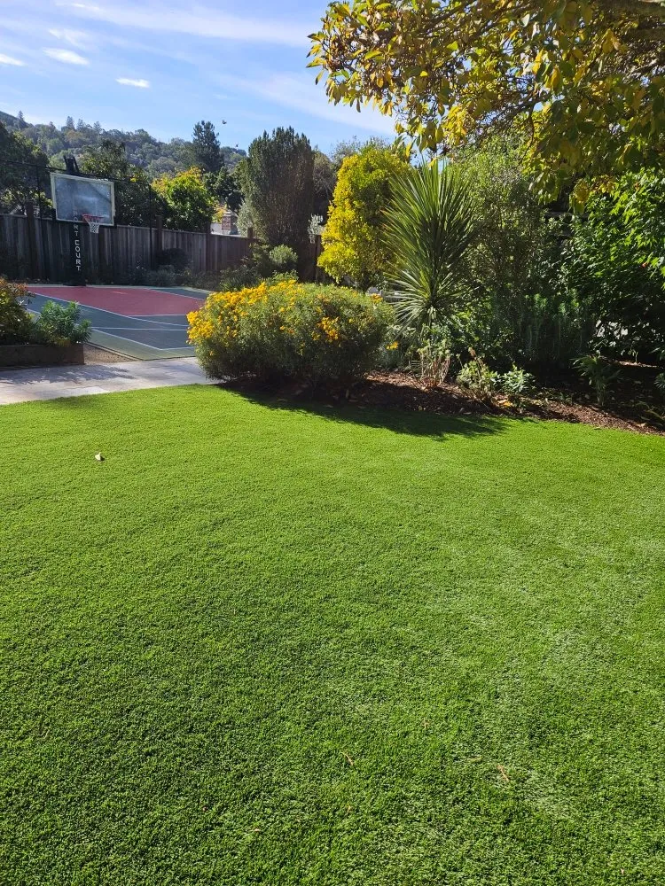 Local yard maintenance with custom design in Novato, CA by Rodas Marin gardens