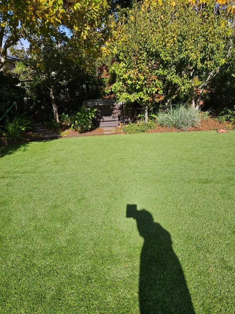 Expert landscaping services experts serving Novato, CA - Rodas Marin gardens