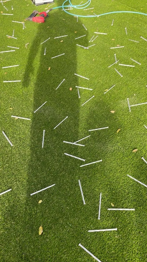 Top-rated garden landscaping near you in Novato, CA by Rodas Marin gardens