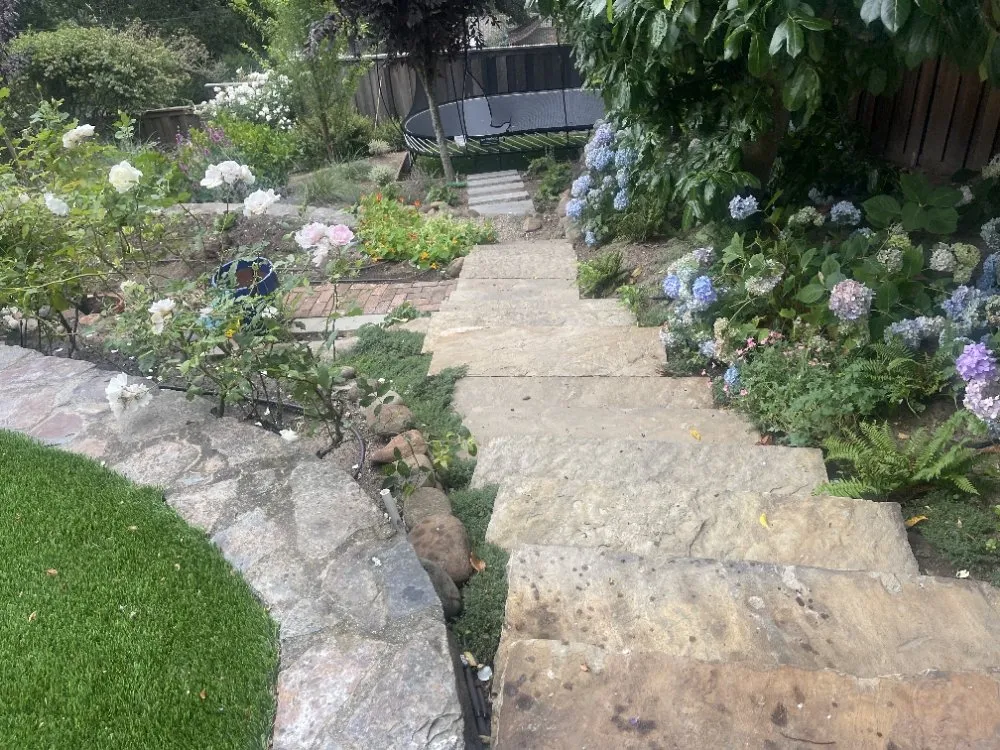 Professional outdoor landscaping experts serving Novato, CA - Rodas Marin gardens