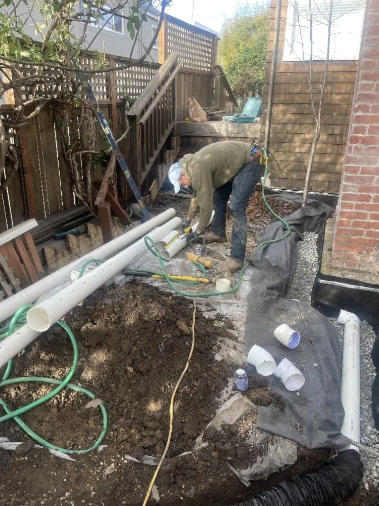 Top-rated lawn mowing service in Novato, CA - Rodas Marin gardens