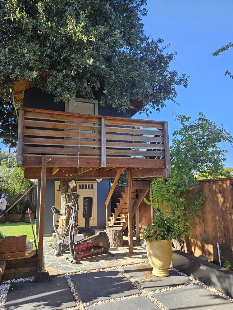 Professional lawn care service for residential properties across Novato, CA - Rodas Marin gardens