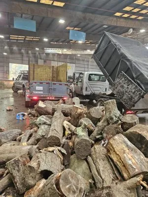 Rodas Marin gardens Logo