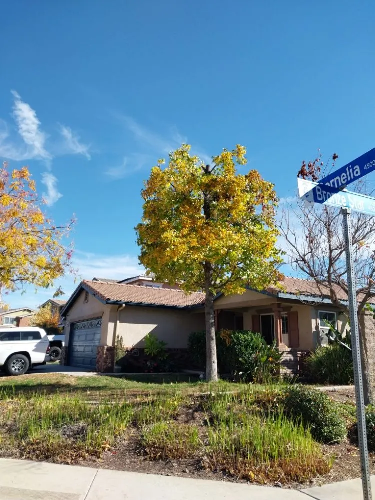 Reliable lawn mowing service for outdoor upgrades in Riverside, CA by Rodas Tree Service and Landscape