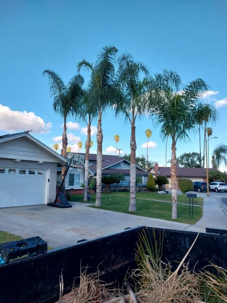 Professional garden landscaping for beautiful yards across Riverside, CA - Rodas Tree Service and Landscape