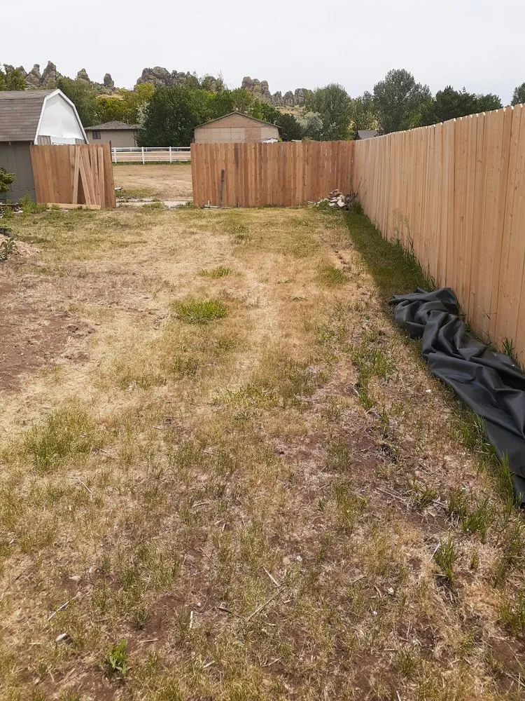 Local yard cleanup service for outdoor upgrades across Fort Collins, CO - Roddog Landscaping
