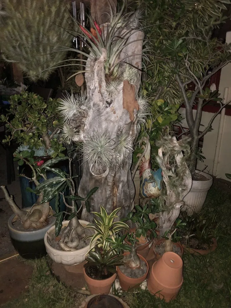 Affordable landscaping services in Ewa Beach, HI by Rodel's Landscaping Services