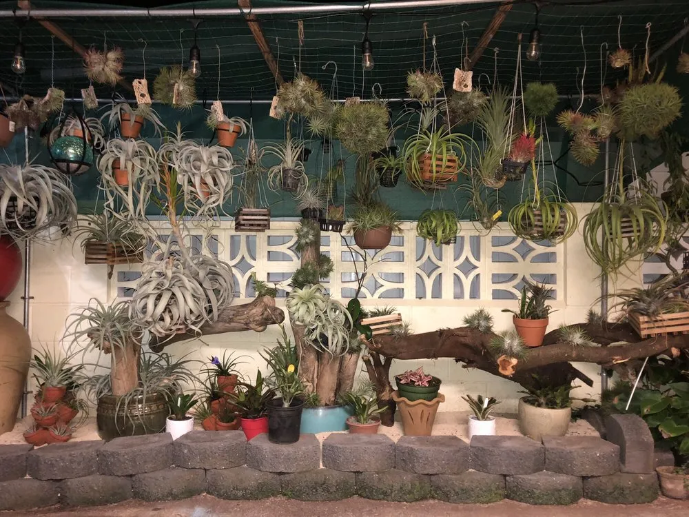 Top-rated residential landscaping for year-round maintenance in Ewa Beach, HI by Rodel's Landscaping Services