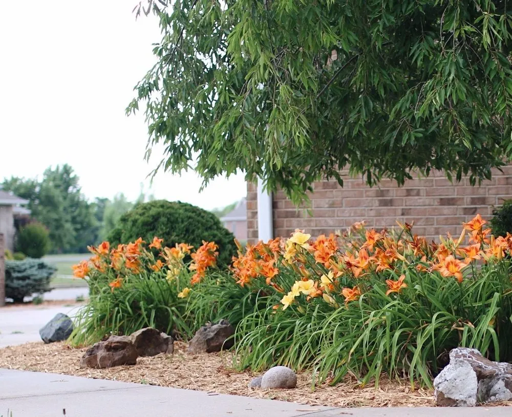 Trusted lawn mowing service experts serving Webb City, MO - Roderique Turf