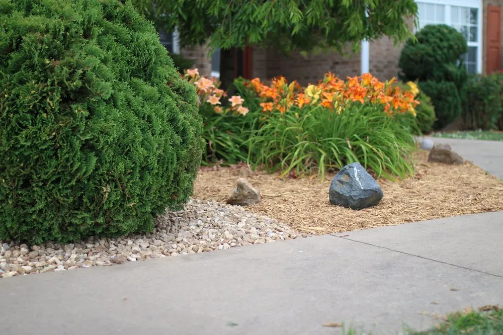 Reliable lawn care service in Webb City, MO - Roderique Turf