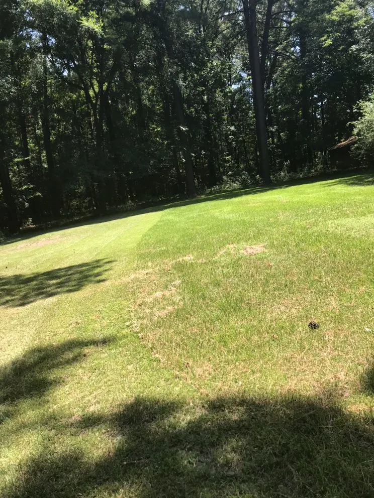 Custom landscaping services experts serving Benton, AR - Rodgers Lawn care