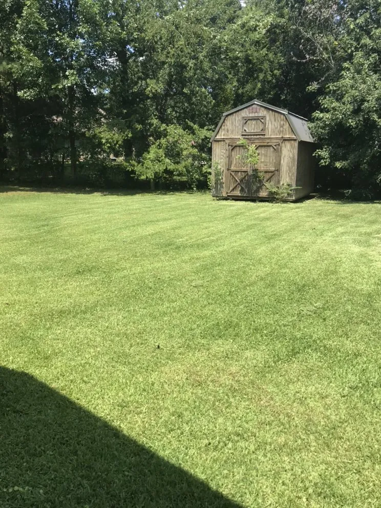 Affordable lawn care service in Benton, AR by Rodgers Lawn care