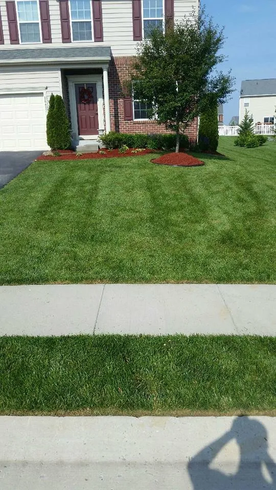 Professional lawn care service for year-round maintenance in Funkstown, MD by Rodgers Lawn Care