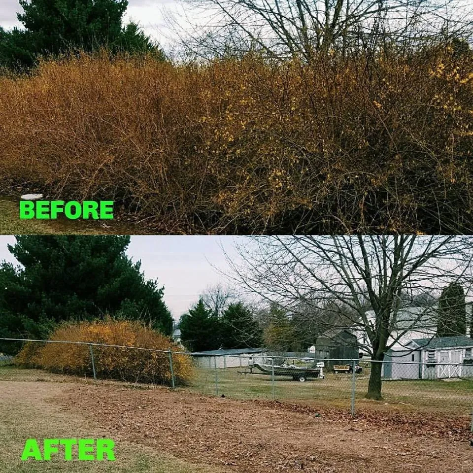Professional landscape design experts serving Funkstown, MD - Rodgers Lawn Care