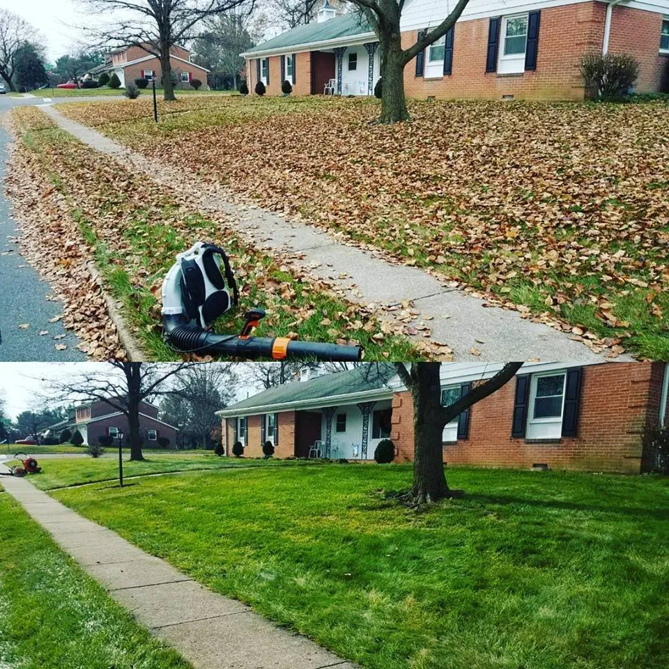 Expert yard cleanup service in Funkstown, MD - Rodgers Lawn Care