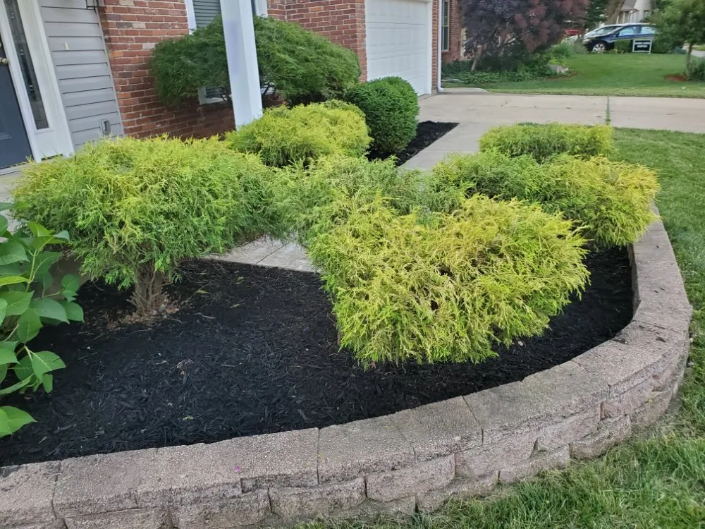 Top-rated landscape installation for year-round maintenance in Wentzville, MO by Rodgers N' Crews