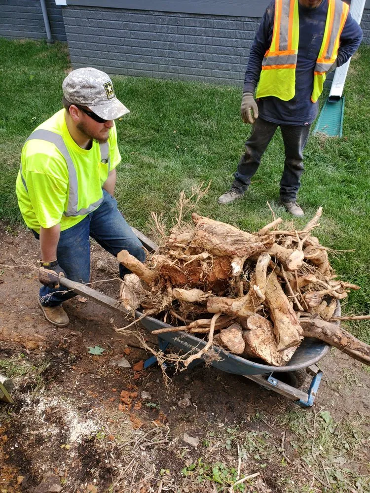 Professional yard maintenance for homes in Boyds, MD by Rodgers Neighborhood Landscaping