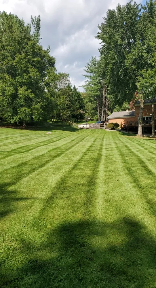 Professional lawn care service in Boyds, MD by Rodgers Neighborhood Landscaping