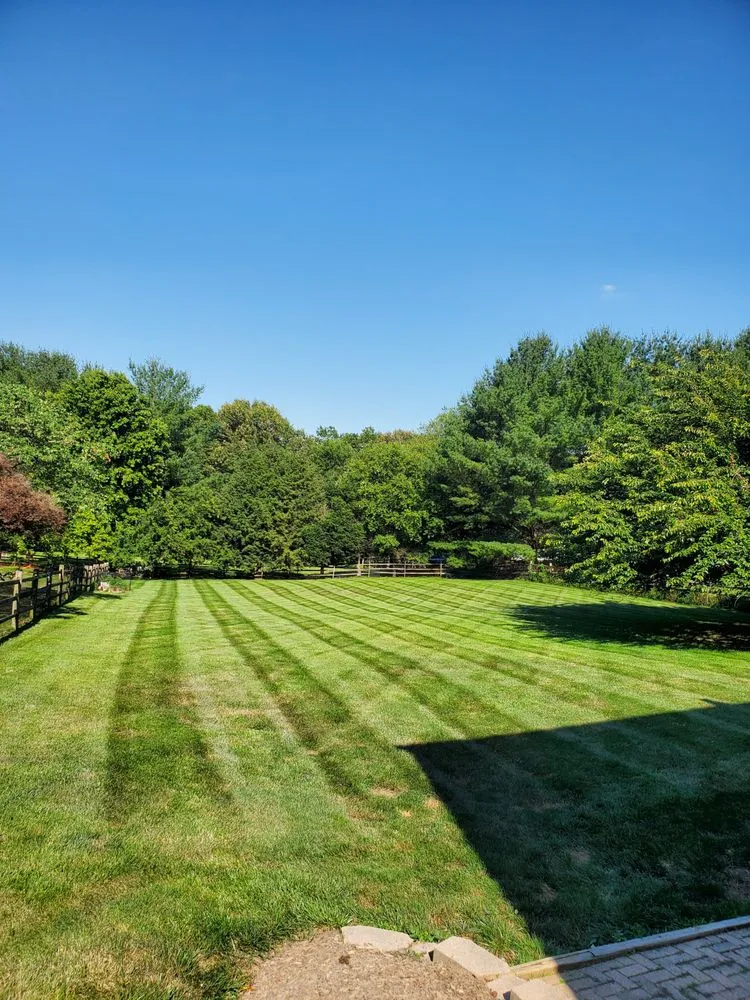 Professional landscaping services for year-round maintenance in Boyds, MD by Rodgers Neighborhood Landscaping