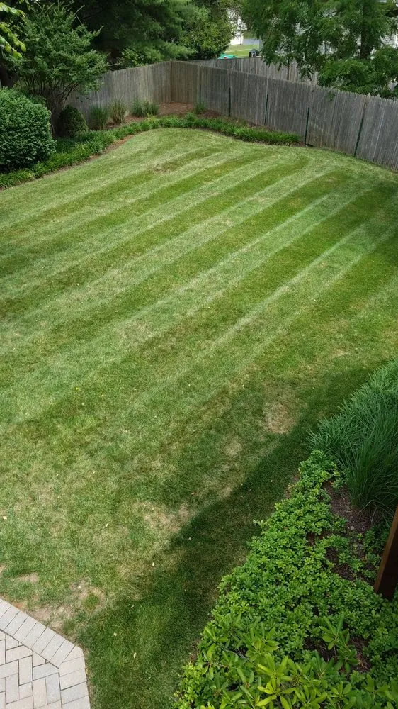 Trusted landscape design in Boyds, MD - Rodgers Neighborhood Landscaping